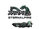 XANTARES (Glitter) | Antwerp 2022