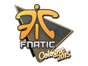 Fnatic | Cologne 2015