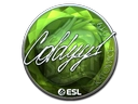 COLDYY1 (Foil) | Katowice 2019