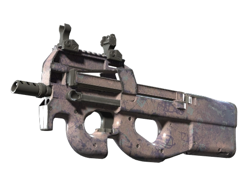 P90 | Wash me (Field-Tested)