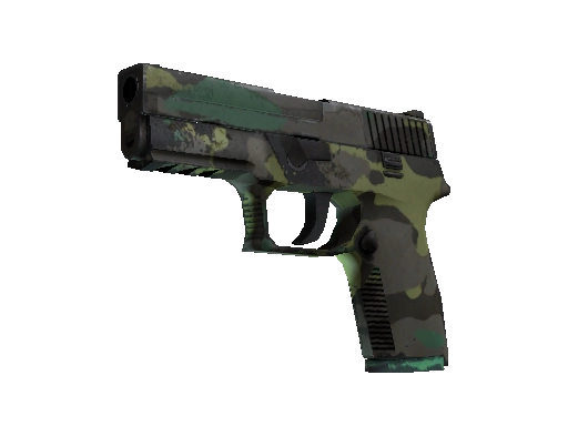 P250 | Boreal Forest (Well-Worn)