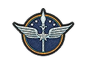 Patch | Vanguard