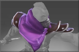 Shoulders of the Witch Hunter