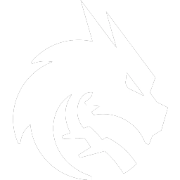 Team Spirit Team Sticker - TI 2024