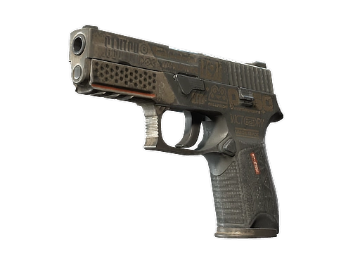 P250 | Bullfrog (Battle-Scarred)